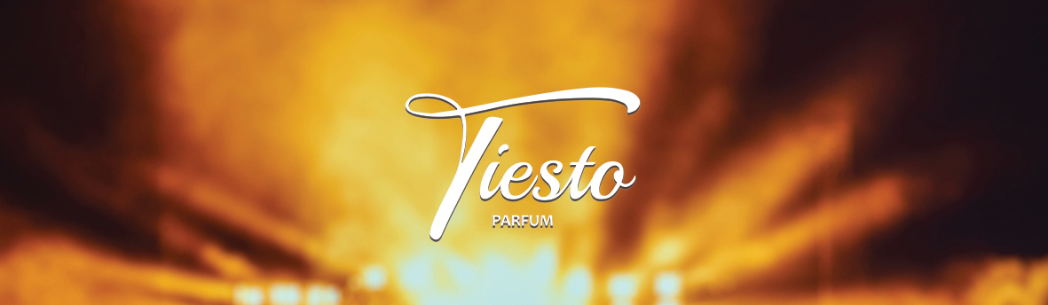 Tiesto PALOMA HIM(1)1